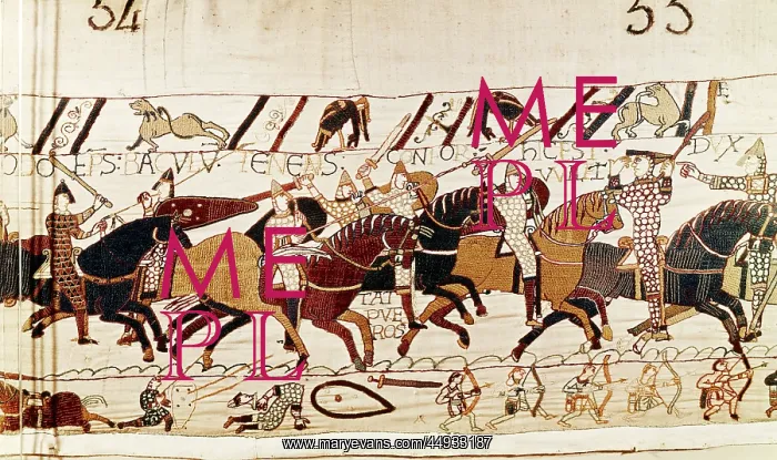 : Section of the Bayeaux Tapestry : Section of the Bayeaux Tapestry