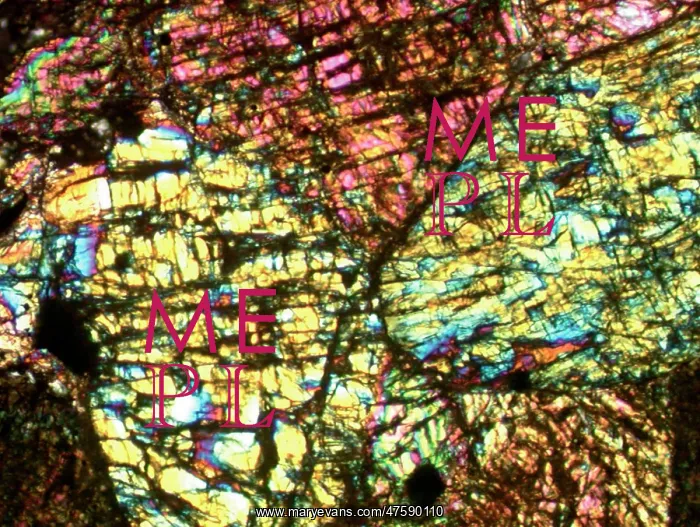 : Section of Chassigny meteorite : Section of Chassigny meteorite