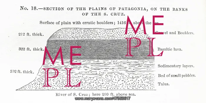 : Section of the plains of Patagonia diagram : Section of the plains of Patagonia diagram
