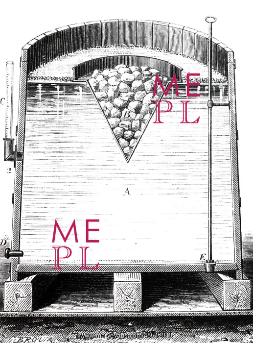  : Sectional view of fermentation vessel at the Fanta