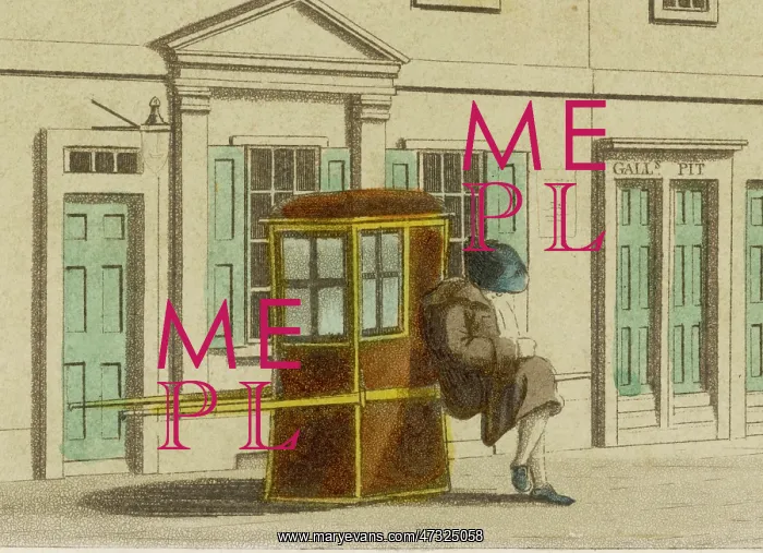 : Sedan Chair - 1804 : Sedan Chair - 1804