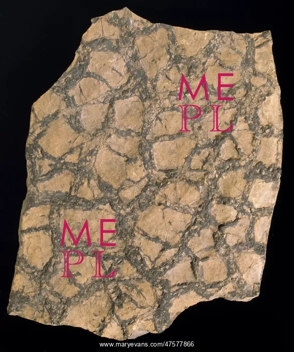 : Sedimentary layer of rock : Sedimentary layer of rock