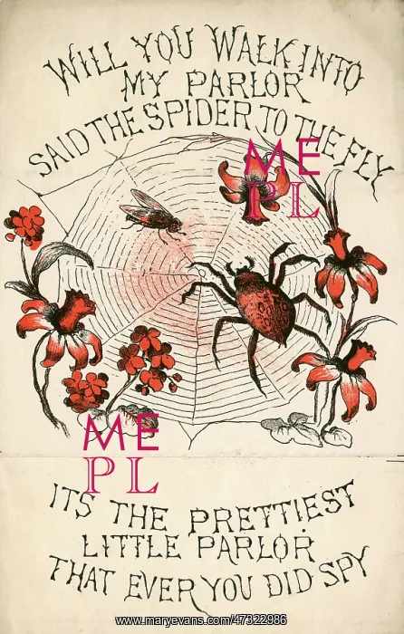 : Seduction - Spider's Web : Seduction - Spider's Web