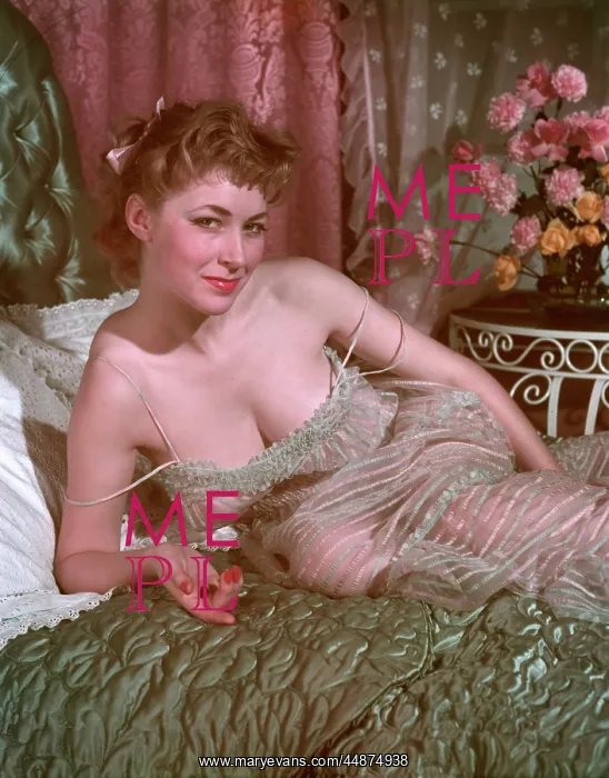 : SEE-THROUGH NIGHTGOWN : SEE-THROUGH NIGHTGOWN