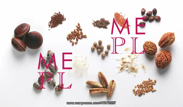 : Seed specimens : Seed specimens