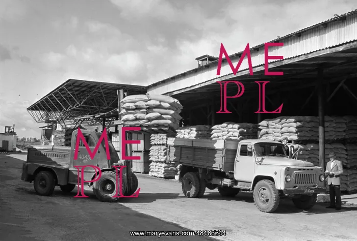 : Seeds ready for shipment : Seeds ready for shipment