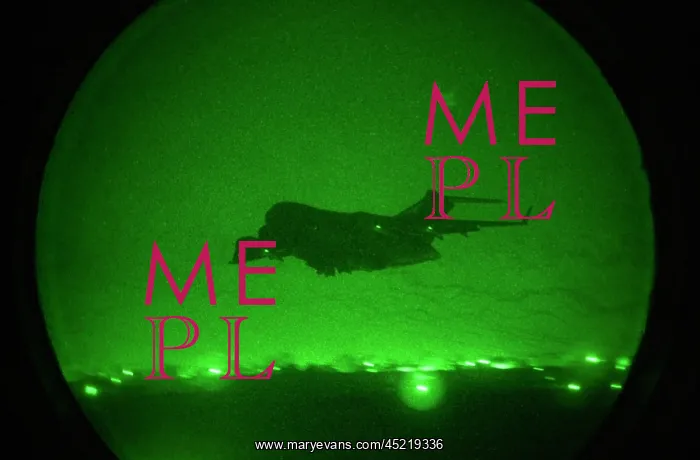 : Seen in the green glow of a night scope ? : Seen in the green glow of a night scope ?