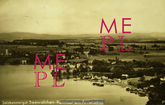 : Seewalchen and castle Kammer at the Attersee. View : Seewalchen and castle Kammer at the Attersee. View