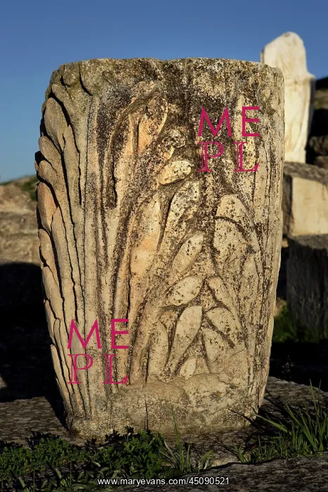 : Segobriga Archaeological Park : Segobriga Archaeological Park