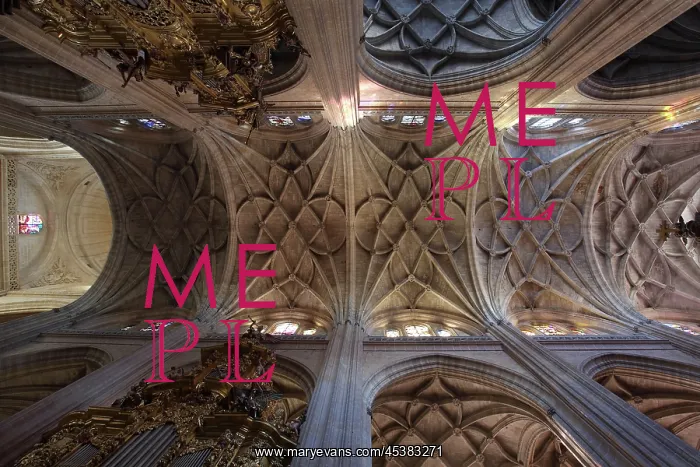 : Segovia Cathedral, Castile and Leon, Spain : Segovia Cathedral, Castile and Leon, Spain