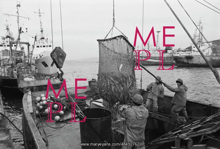 : Seiner. USSR. May 30, 1986. Fishermen are aboard the ship with the big catch : Seiner. USSR. May 30, 1986. Fishermen are aboard the ship with the big catch