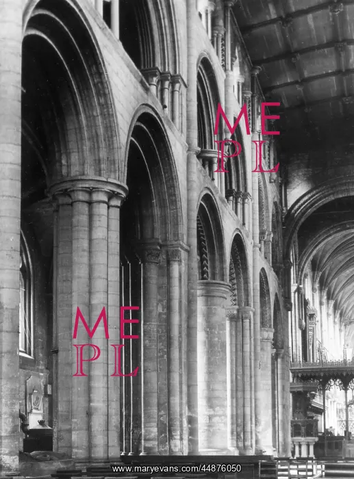 : SELBY NORMAN NAVE : SELBY NORMAN NAVE