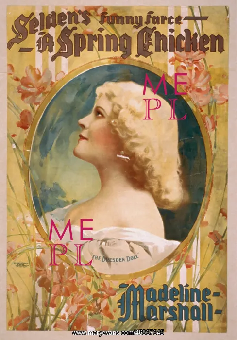 : Selden's funny farce, A spring chicken : Selden's funny farce, A spring chicken