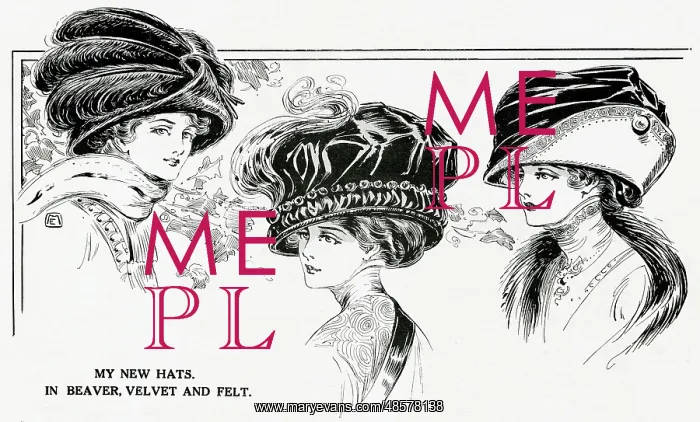 : Selection of hats 1909 : Selection of hats 1909