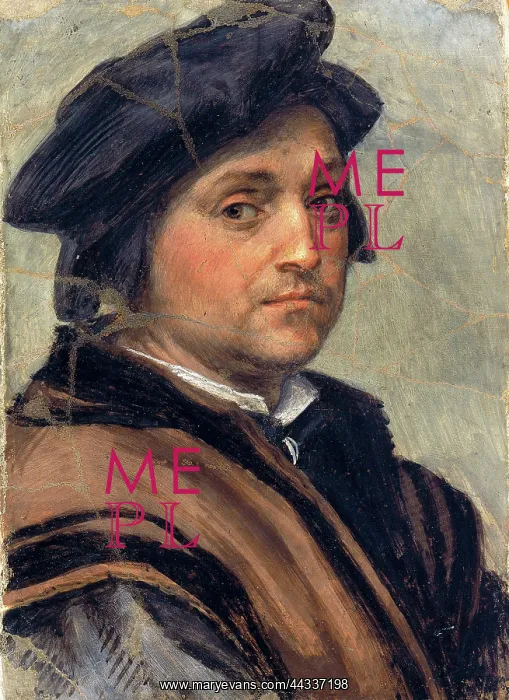 : Self-portrait of Andrea del Sarto : Self-portrait of Andrea del Sarto