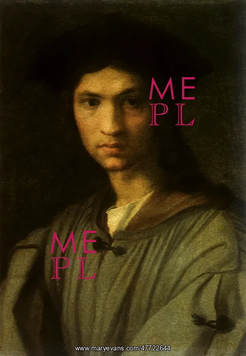 : Self-portrait of Andrea del Sarto : Self-portrait of Andrea del Sarto