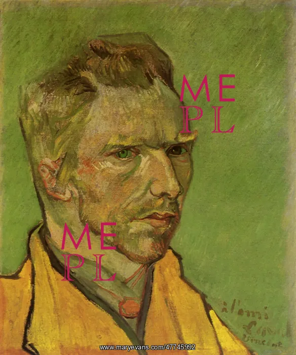 : Self Portrait of Vincent Van Gogh : Self Portrait of Vincent Van Gogh