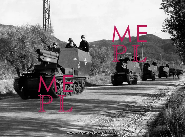: Self-propelled guns of the Wehrmacht on the Eastern Front : Self-propelled guns of the Wehrmacht on the Eastern Front