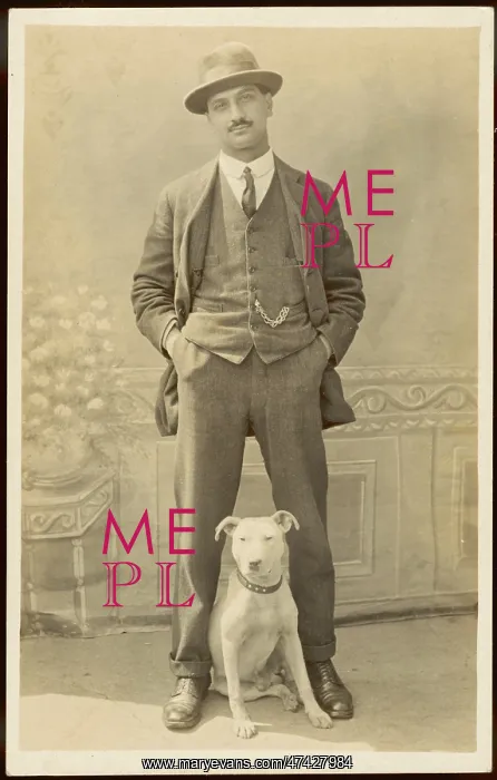 : SELF SATISFIED MAN DOG : SELF SATISFIED MAN DOG