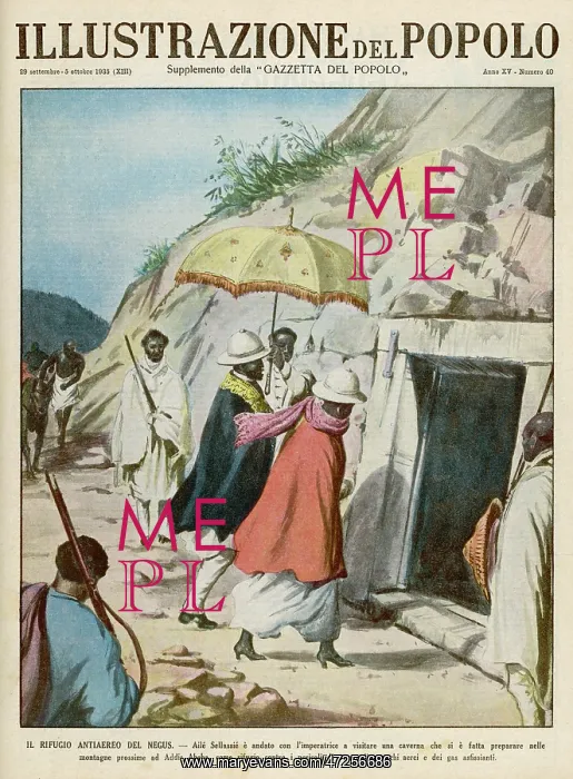 : SELLASSIE SHELTERS : SELLASSIE SHELTERS