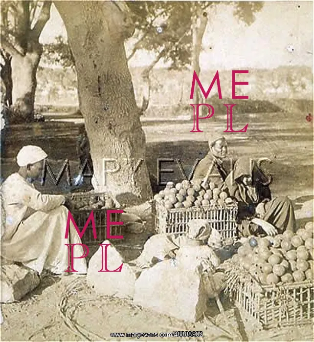  : SELLING ORANGES, CAIRO