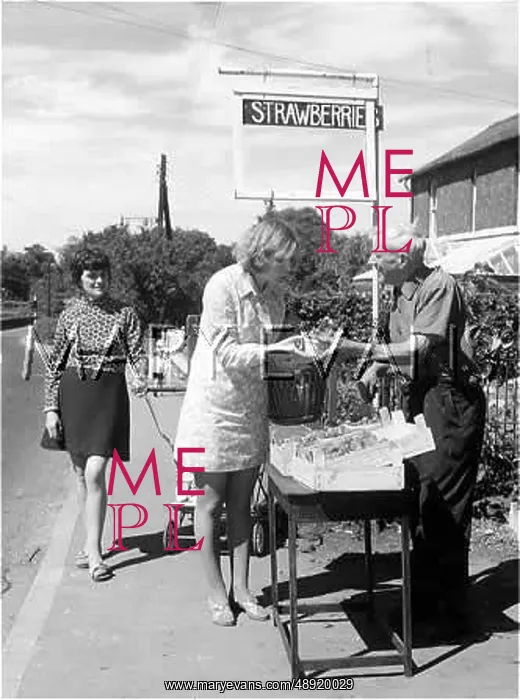 : SELLING STRAWBERRIES : SELLING STRAWBERRIES