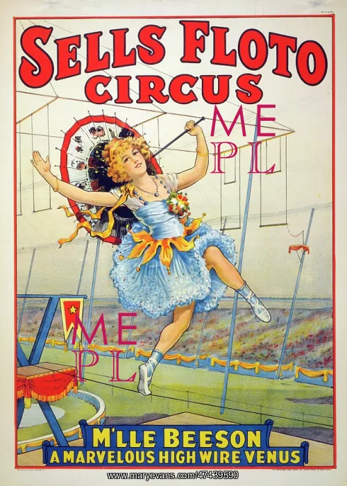 : Sells Floto circus M'lle Beeson, a marvelous high wire Venus : Sells Floto circus M'lle Beeson, a marvelous high wire Venus