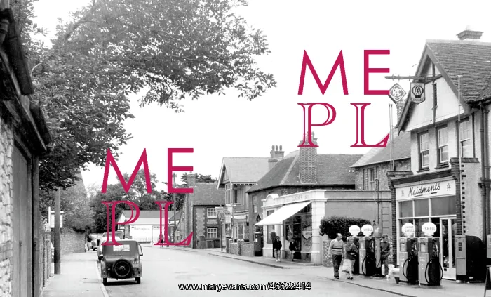  : Selsey, High Street c1960