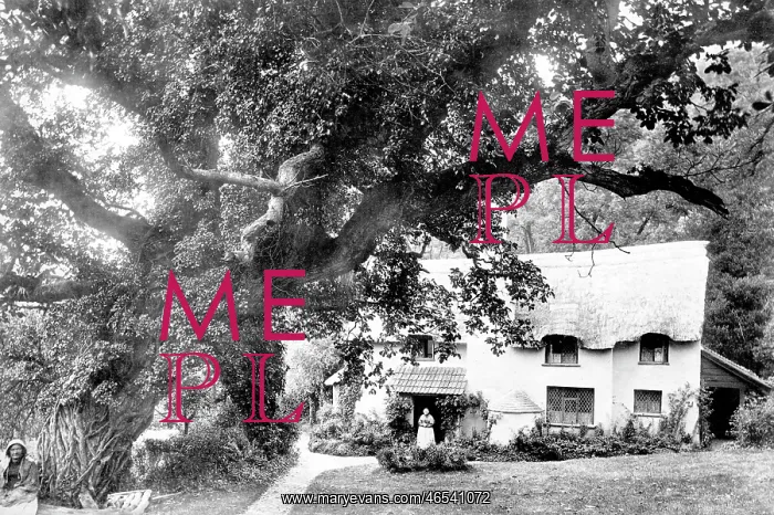  : Selworthy, the Village 1890