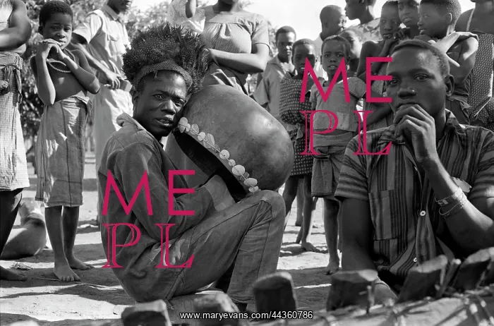 : Sena man playing mbira inside calabash resonator with : Sena man playing mbira inside calabash resonator with