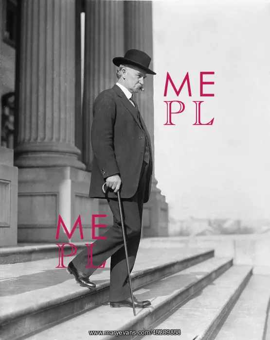 : Senator Albert B. Fall (1861-1944), prior ? : Senator Albert B. Fall (1861-1944), prior ?