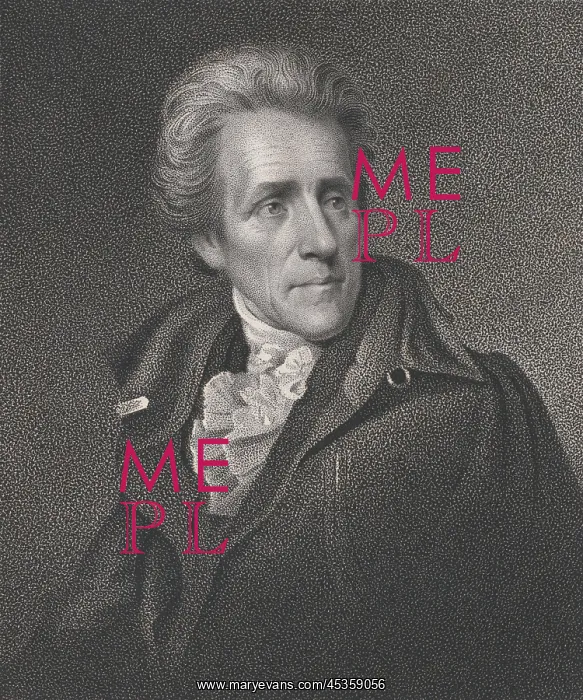 : Senator Andrew Jackson in 1824, as painted by Joseph : Senator Andrew Jackson in 1824, as painted by Joseph