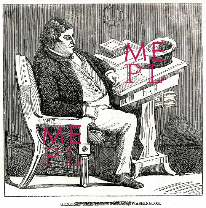 : Senator Cass in his office, Washington 1856 : Senator Cass in his office, Washington 1856