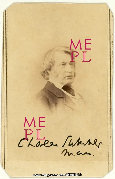 : Senator Charles Sumner, carte de visite ? : Senator Charles Sumner, carte de visite ?