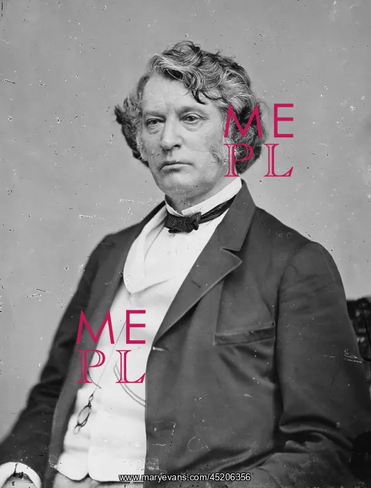 : Senator Charles Sumner by Matthew Brady ? : Senator Charles Sumner by Matthew Brady ?