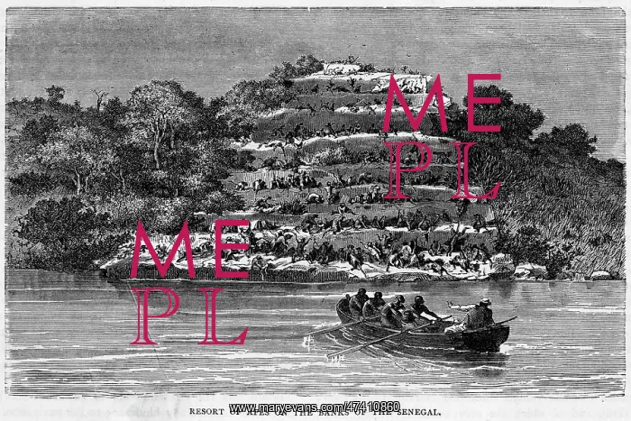  : SENEGAL RIVER