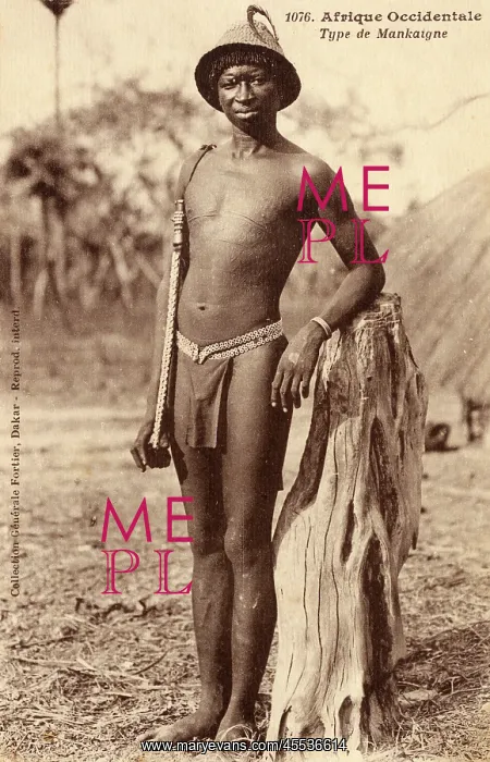 : Senegalese Man : Senegalese Man