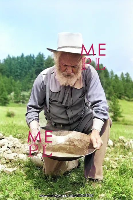 : Senior Man Prospector Panning : Senior Man Prospector Panning