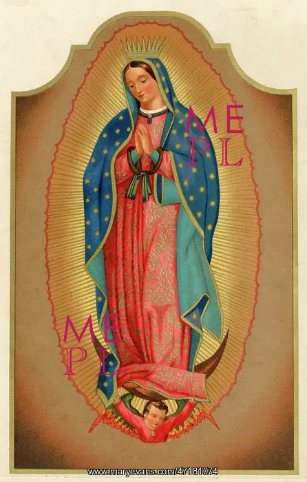 : SENORA DE GUADALUPE : SENORA DE GUADALUPE