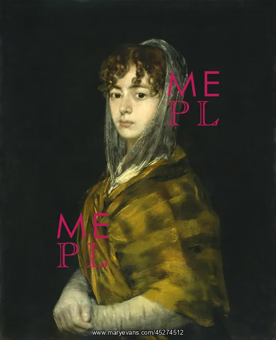 : Senora Sabasa Garcia, by Goya : Senora Sabasa Garcia, by Goya