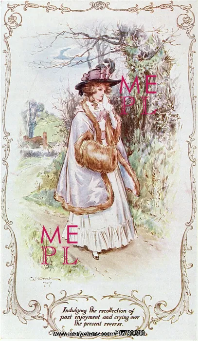 : SENSE & SENSIBILITY : SENSE & SENSIBILITY