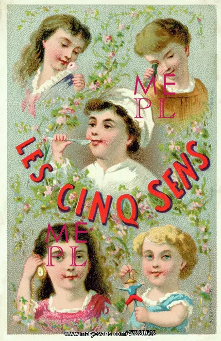  : THE FIVE SENSES