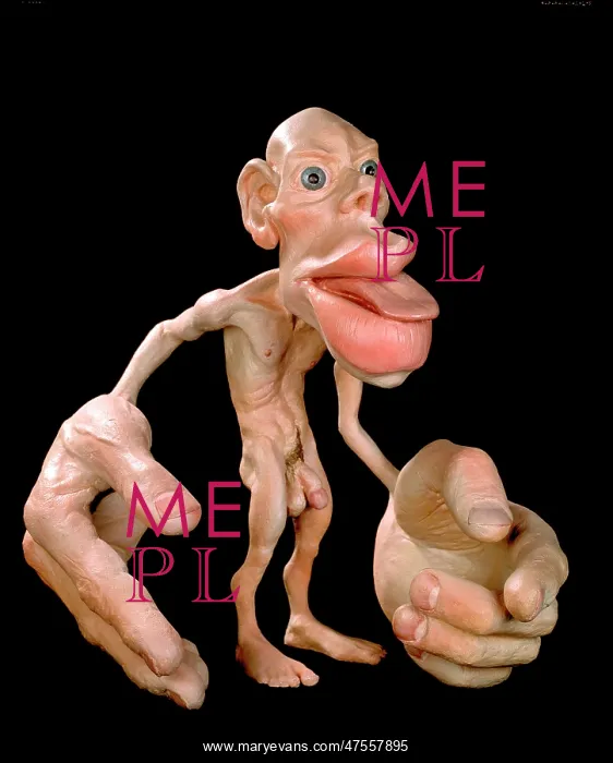 : Sensory homunculus : Sensory homunculus