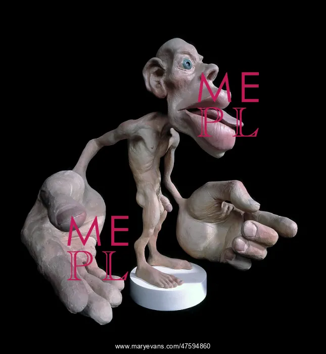 : Sensory homunculus : Sensory homunculus