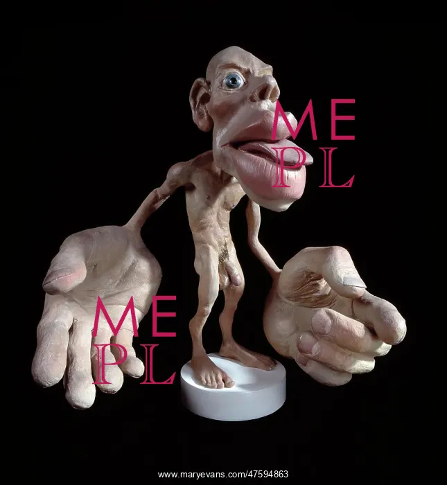 : Sensory homunculus : Sensory homunculus