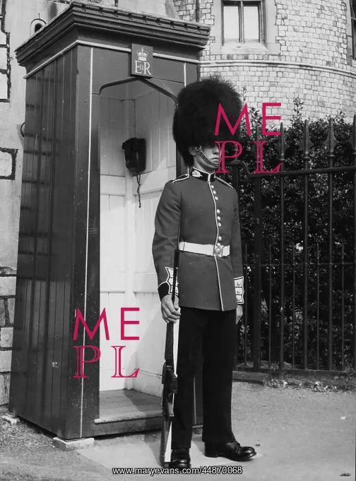 : SENTRY DUTY : SENTRY DUTY