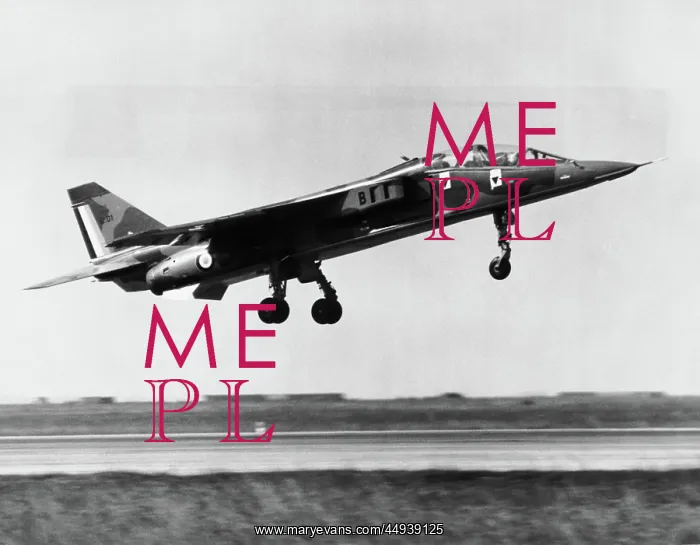 : SEPECAT Jaguar : SEPECAT Jaguar