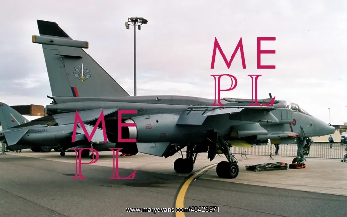 : SEPECAT Jaguar GR.1A XZ113 : SEPECAT Jaguar GR.1A XZ113