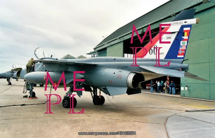 : SEPECAT Jaguar GR.3 XZ364 - FS : SEPECAT Jaguar GR.3 XZ364 - FS