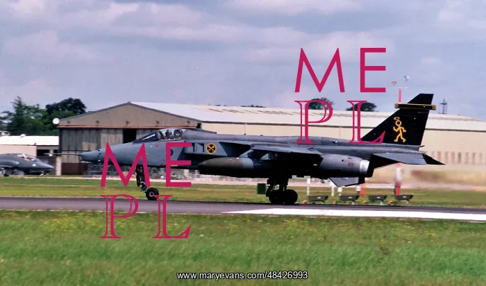 : SEPECAT Jaguar GR.3A XX117 : SEPECAT Jaguar GR.3A XX117